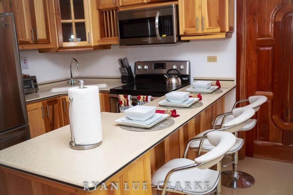 Shan'S Manor.... Excellent Location!!! Κίνγκστον Εξωτερικό φωτογραφία